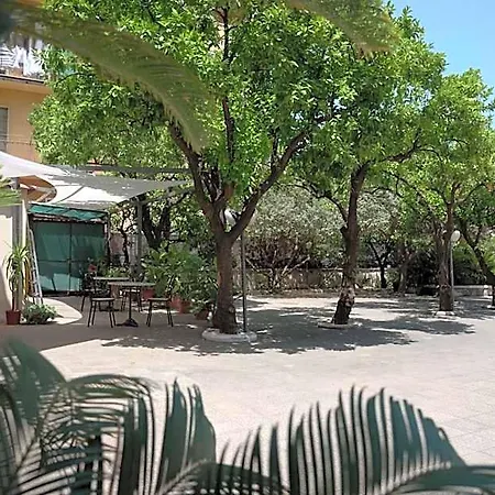 Calypso Hotel 3*
